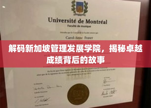 解码新加坡管理发展学院，揭秘卓越成绩背后的故事