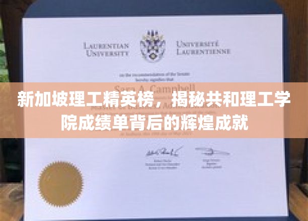 新加坡共和理工学院，揭秘顶尖成绩背后的璀璨教育传奇