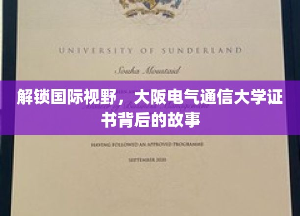 揭秘大阪电气通信大学，证书背后的国际化魅力