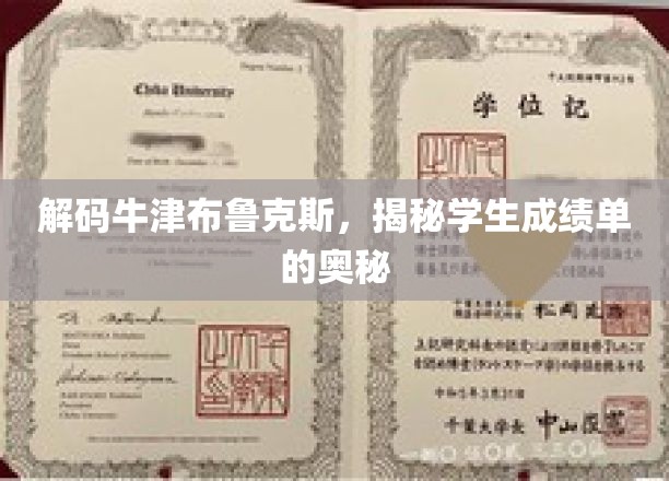 解锁牛津布鲁克斯，一探成绩单背后的秘密世界