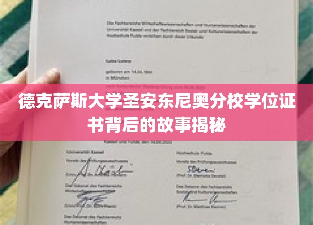 德克萨斯大学圣安东尼奥分校学位证书背后的故事揭秘