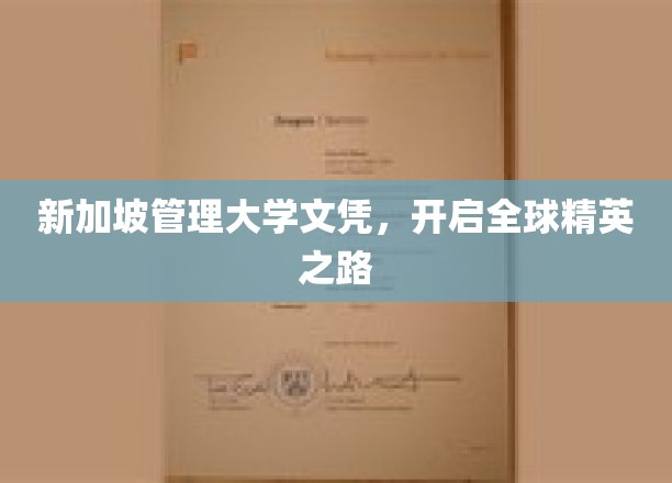 新加坡管理大学文凭，解锁国际职场精英新篇章