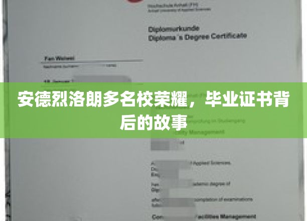 揭秘安德烈·洛朗名校证书，背后的荣耀与奋斗