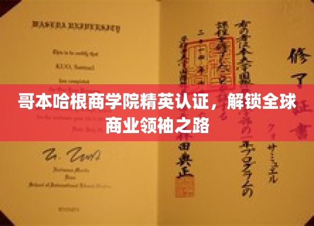 哥本哈根商学院精英认证，开启全球商业领袖之旅