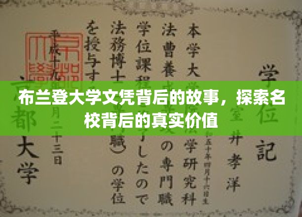 解码布兰登，名校文凭背后的传奇与价值