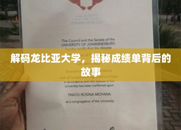 解码龙比亚大学，揭秘成绩单背后的故事