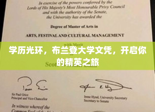 学历光环，布兰登大学文凭，开启你的精英之旅