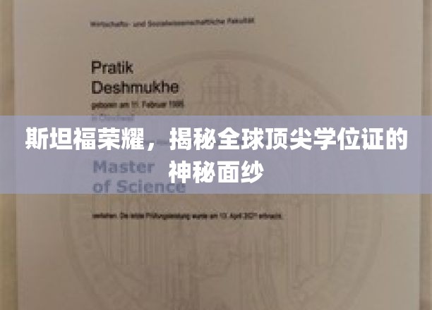 斯坦福学位之谜，探寻全球精英教育的璀璨光环