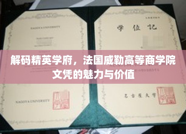 解码精英学府，法国威勒高等商学院文凭的魅力与价值
