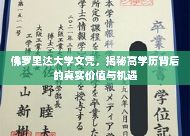 佛罗里达大学文凭，揭示高学历背后的真实价值与机遇