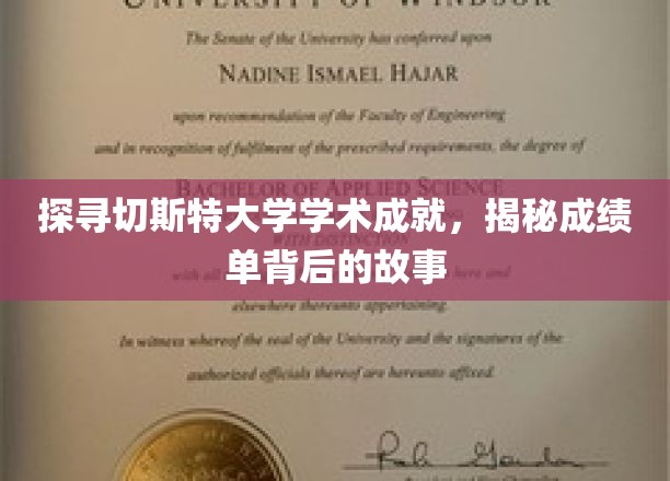 解码切斯特大学卓越成绩，一探究竟背后的学术传奇