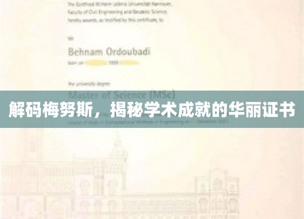 解码梅努斯，揭秘学术成就的华丽证书