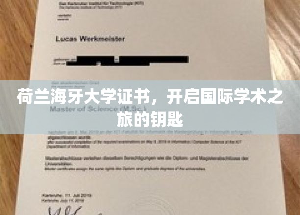 国际学术通行证，荷兰海牙大学证书引领全球学术探索