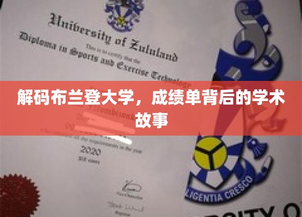 揭开布兰登大学成绩单背后的学术奥秘