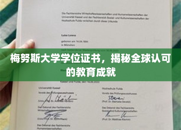 国际视野下的梅努斯荣耀，解锁全球认可的学位成就密码