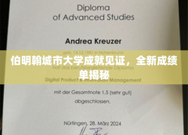 伯明翰城市大学成就见证，全新成绩单揭秘