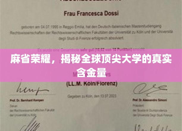 解码麻省之光，全球顶级学府的内在价值揭秘