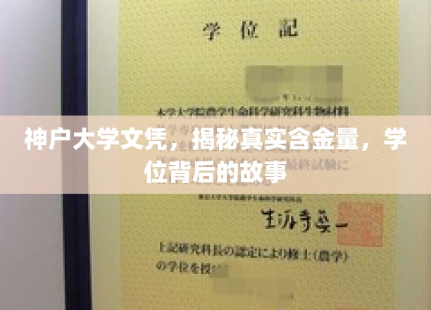 神户大学文凭揭秘，学位背后的传奇与真实价值