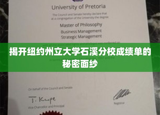 揭秘石溪分校成绩单背后的不为人知故事