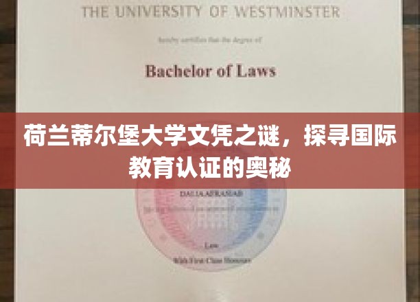 揭开荷兰蒂尔堡大学文凭背后的认证之谜