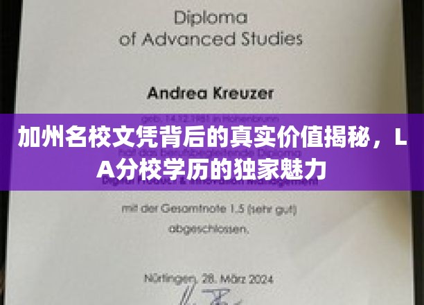 加州名校文凭背后的真实价值揭秘，LA分校学历的独家魅力