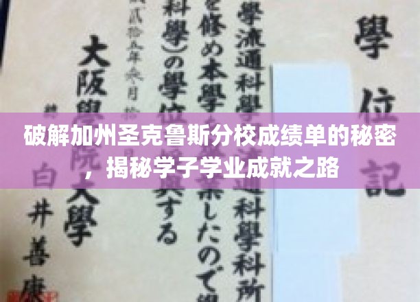 破解加州圣克鲁斯分校成绩单的秘密，揭秘学子学业成就之路