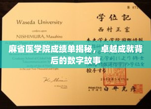 解码麻省医学院，揭开卓越学子背后的成绩单奥秘