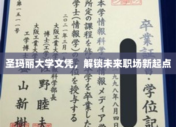 圣玛丽大学文凭，开启未来职场新篇章