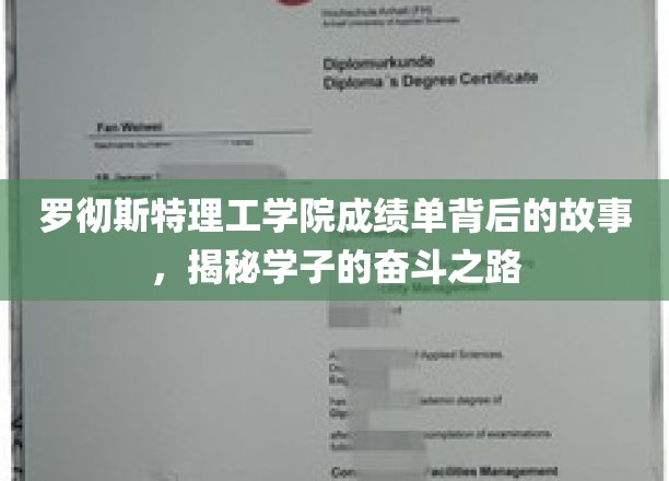 罗彻斯特理工学院成绩单，学子奋斗轨迹的闪耀篇章