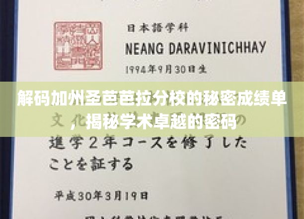 探寻圣芭芭拉分校卓越背后的神秘学业绩效