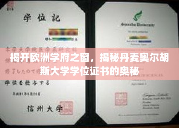 揭开欧洲学府之窗，揭秘丹麦奥尔胡斯大学学位证书的奥秘