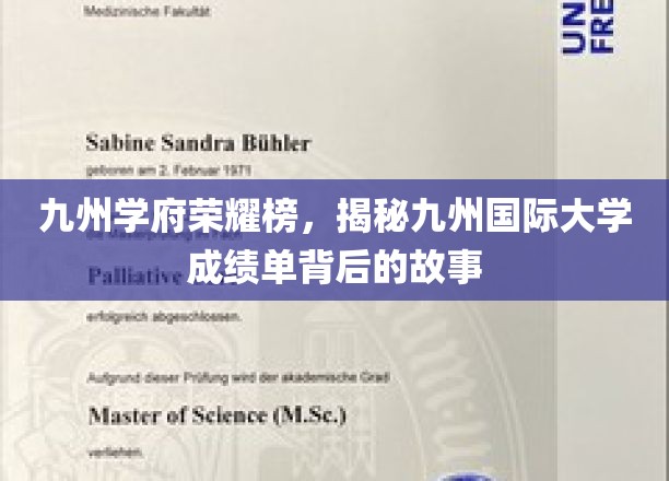 九州学府荣耀榜，揭秘九州国际大学成绩单背后的故事