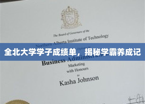 全北学霸养成记，揭秘高分背后的全北大学学子成长轨迹