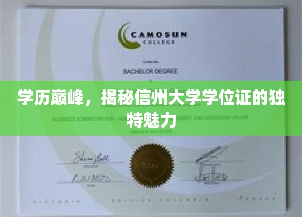 信州大学学位证，解锁学历巅峰的独门秘籍