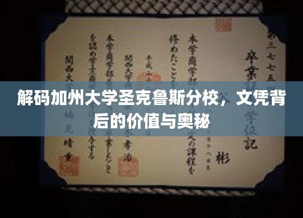 解码加州大学圣克鲁斯分校，文凭背后的价值与奥秘