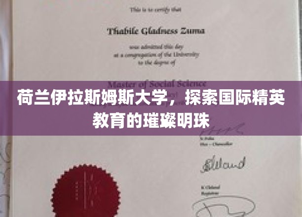 欧陆精英摇篮，荷兰伊拉斯姆斯大学的教育之光璀璨绽放