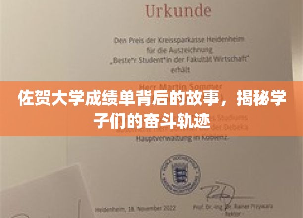 佐贺大学成绩单背后的故事，揭秘学子们的奋斗轨迹