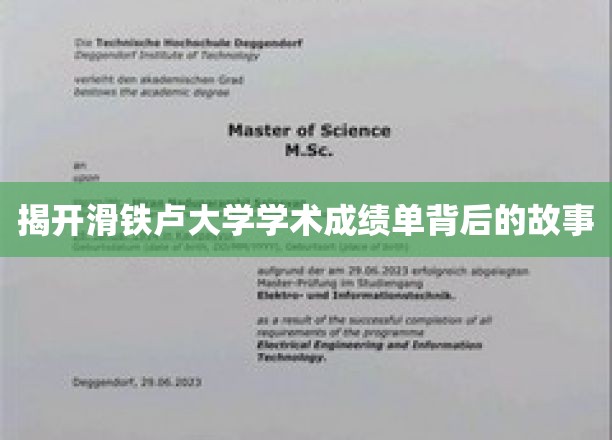 揭秘滑铁卢大学学术成绩单背后的故事