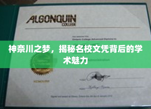 神奈川之梦，探秘名校文凭背后的学术魅力