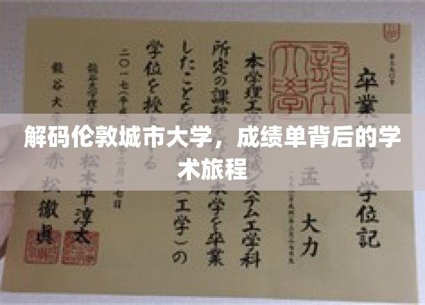 解码伦敦城市大学，成绩单背后的学术旅程
