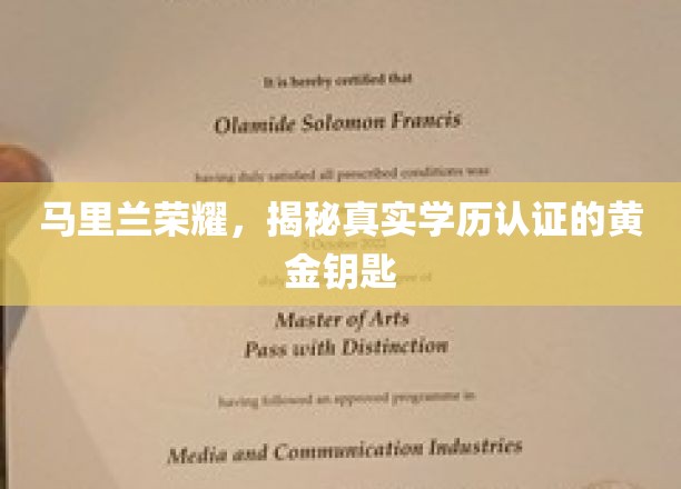 探寻马里兰荣耀背后的学历认证黄金奥秘