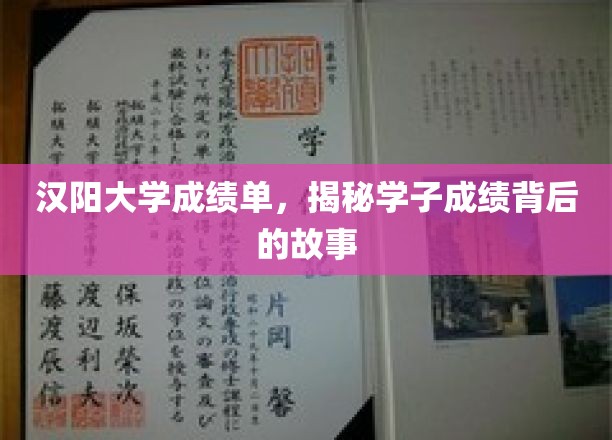 汉阳大学成绩单，揭示学子成绩背后的故事