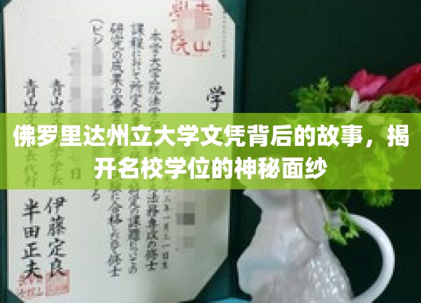 佛罗里达州立大学文凭背后的故事，揭开名校学位的神秘面纱