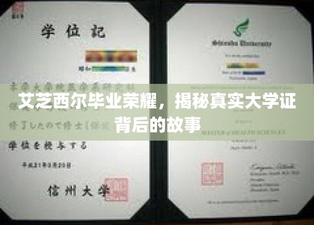 艾芝西尔毕业荣耀，揭秘真实大学证背后的故事