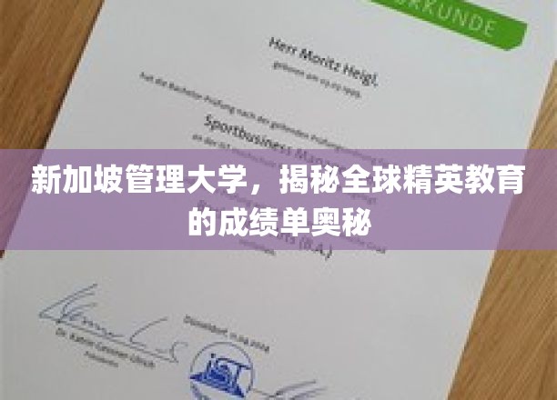 解码新加坡管理大学，全球精英教育的高分秘诀