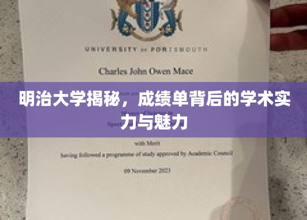 明治大学揭秘：成绩单背后的学术实力与独特魅力