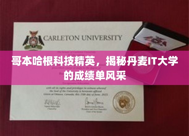 哥本哈根科技精英，揭秘丹麦IT大学的成绩单风采