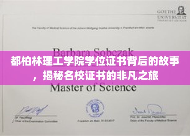 都柏林理工学院学位证书背后的故事，揭秘名校证书的非凡之旅