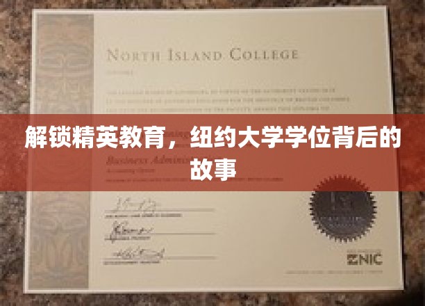 探寻纽约大学学位的精英养成之路