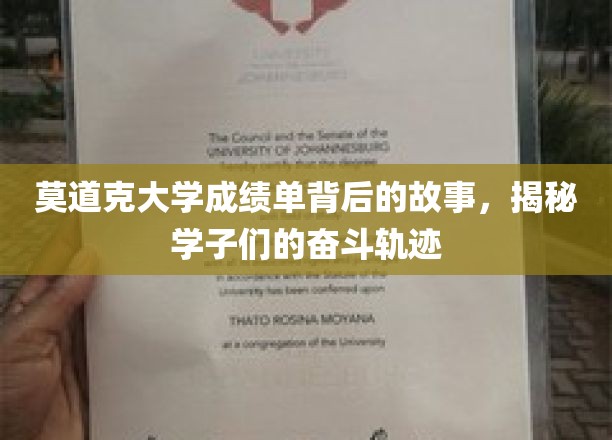 揭开莫道克大学成绩单背后的奋斗篇章